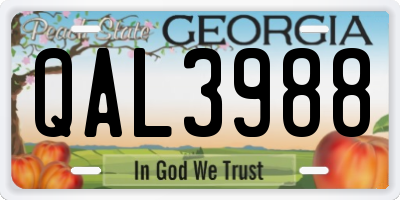 GA license plate QAL3988