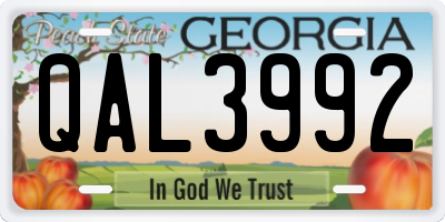 GA license plate QAL3992