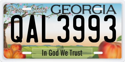 GA license plate QAL3993