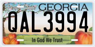 GA license plate QAL3994