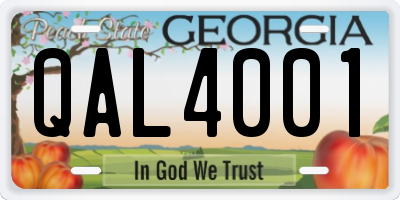 GA license plate QAL4001