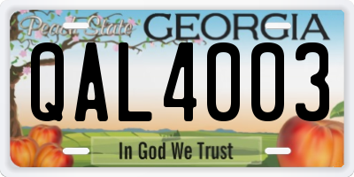 GA license plate QAL4003