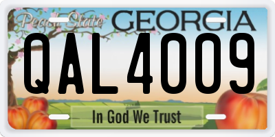 GA license plate QAL4009