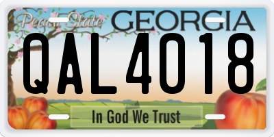 GA license plate QAL4018