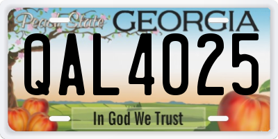 GA license plate QAL4025