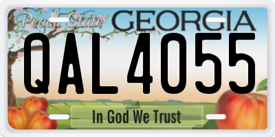 GA license plate QAL4055