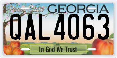 GA license plate QAL4063