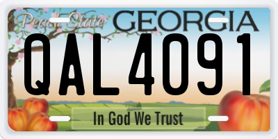 GA license plate QAL4091