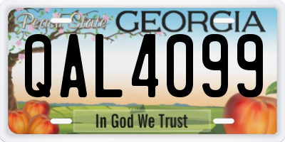 GA license plate QAL4099