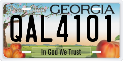 GA license plate QAL4101