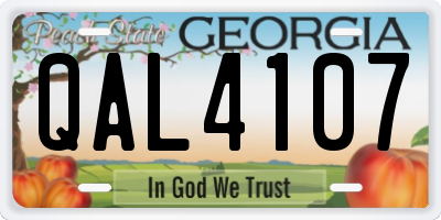 GA license plate QAL4107