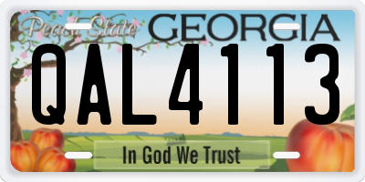 GA license plate QAL4113