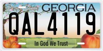 GA license plate QAL4119