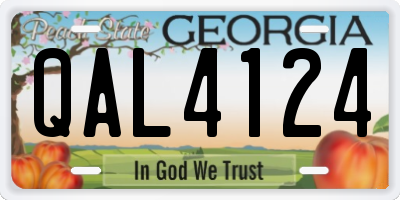 GA license plate QAL4124