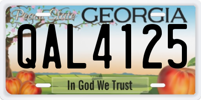 GA license plate QAL4125