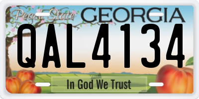 GA license plate QAL4134