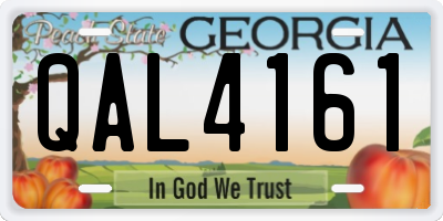 GA license plate QAL4161