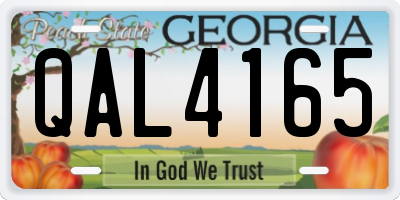 GA license plate QAL4165