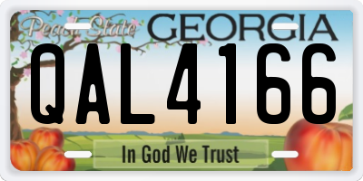 GA license plate QAL4166