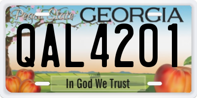 GA license plate QAL4201