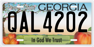 GA license plate QAL4202