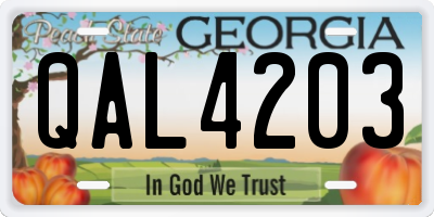 GA license plate QAL4203