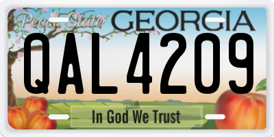 GA license plate QAL4209