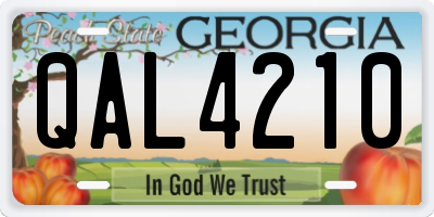 GA license plate QAL4210