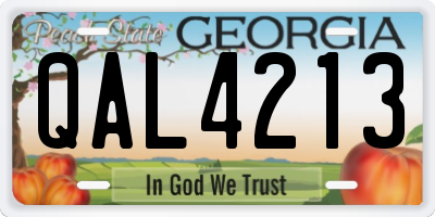 GA license plate QAL4213