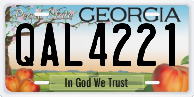 GA license plate QAL4221