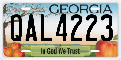 GA license plate QAL4223