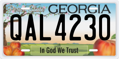 GA license plate QAL4230