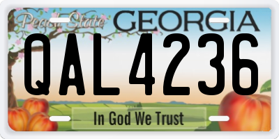 GA license plate QAL4236