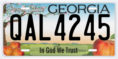 GA license plate QAL4245