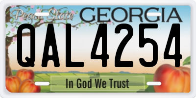 GA license plate QAL4254