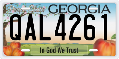 GA license plate QAL4261