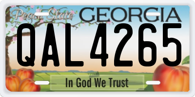 GA license plate QAL4265