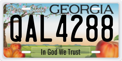 GA license plate QAL4288