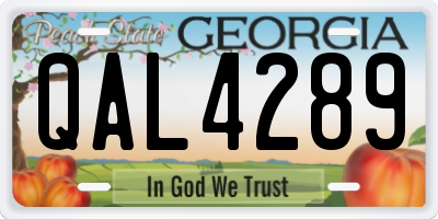 GA license plate QAL4289