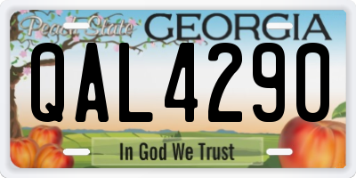 GA license plate QAL4290