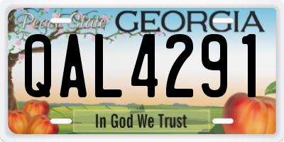 GA license plate QAL4291