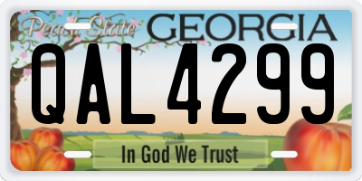 GA license plate QAL4299