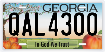 GA license plate QAL4300