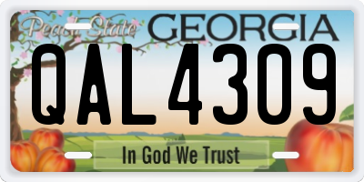 GA license plate QAL4309