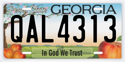 GA license plate QAL4313