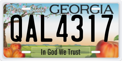 GA license plate QAL4317