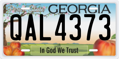 GA license plate QAL4373