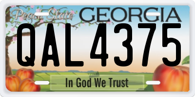 GA license plate QAL4375