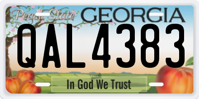 GA license plate QAL4383