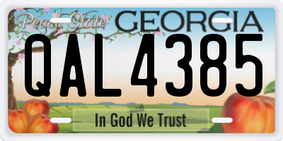 GA license plate QAL4385
